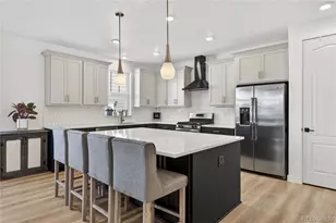 16601 Concolor Pl, Parker, CO 80134 - Photo 9