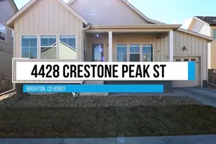 4428 Crestone Peak St, Brighton, CO 80601 - Photo 41