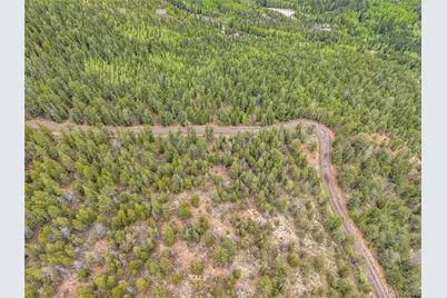 000 Mule Slide Trail, Conifer, CO 80433 - Photo 39