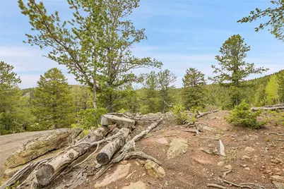 000 Mule Slide Trail, Conifer, CO 80433 - Photo 13