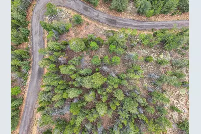 000 Mule Slide Trail, Conifer, CO 80433 - Photo 3