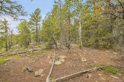 000 Mule Slide Trail, Conifer, CO 80433 - Photo 23