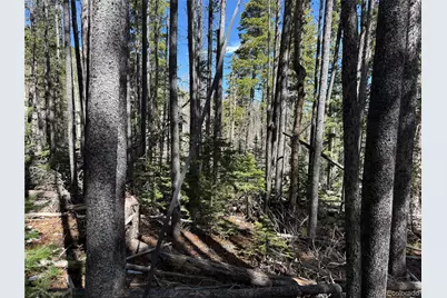 Lot 3408 Drexler Place, Fort Garland, CO 81133 - Photo 15