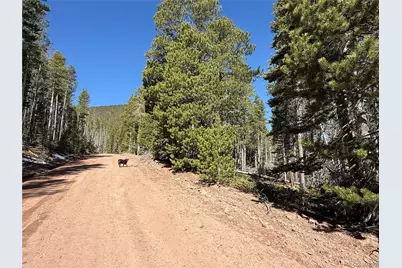 Lot 3408 Drexler Place, Fort Garland, CO 81133 - Photo 5