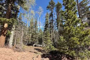 Lot 3408 Drexler Pl, Fort Garland, CO 81133 - Photo 1