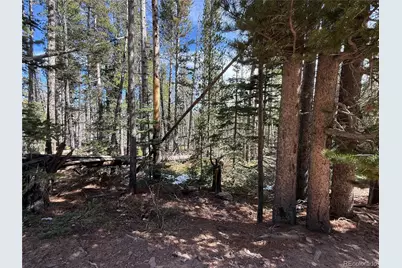 Lot 3408 Drexler Place, Fort Garland, CO 81133 - Photo 11