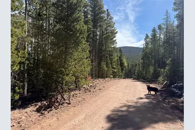 Lot 3408 Drexler Place, Fort Garland, CO 81133 - Photo 13