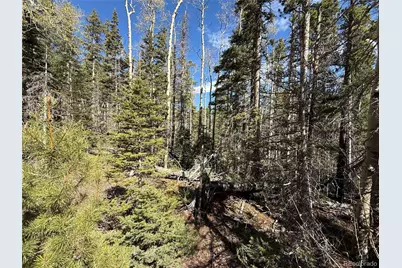 Lot 3408 Drexler Place, Fort Garland, CO 81133 - Photo 3