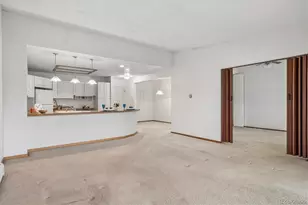 650 S Clinton St, Denver, CO 80247 - Photo 9