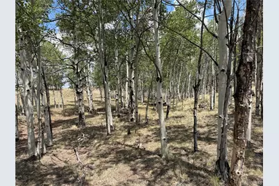 9430 Ranch Road Road, Hartsel, CO 80449 - Photo 5