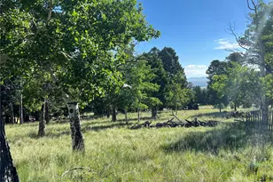 9430 Ranch Road Rd, Hartsel, CO 80449 - Photo 1