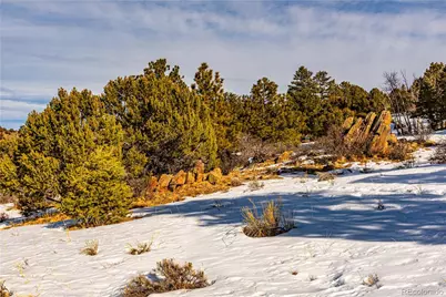 740 Dilley Road, Westcliffe, CO 81252 - Photo 29