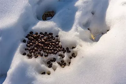 740 Dilley Road, Westcliffe, CO 81252 - Photo 19