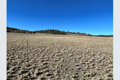 4284 Goldenberg Canyon Road, Hartsel, CO 80449 - Photo 25