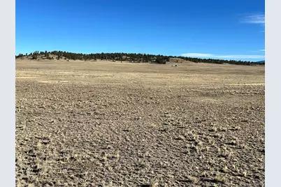 4284 Goldenberg Canyon Road, Hartsel, CO 80449 - Photo 27