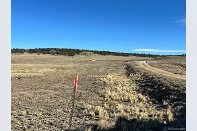 4284 Goldenberg Canyon Road, Hartsel, CO 80449 - Photo 21