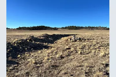 4284 Goldenberg Canyon Road, Hartsel, CO 80449 - Photo 7