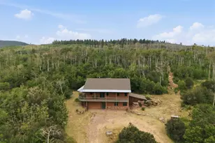 531 Buck Point Dr, Carbondale, CO 81623 - Photo 45