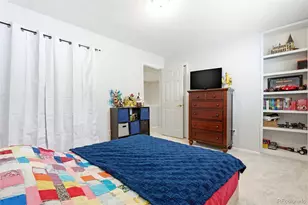 5062 S Zang Ct, Morrison, CO 80465 - Photo 25