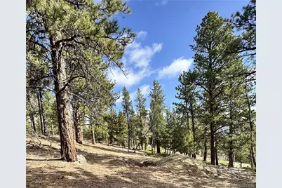 30317 Aspen Turn, Buena Vista, CO 81211 - Photo 11