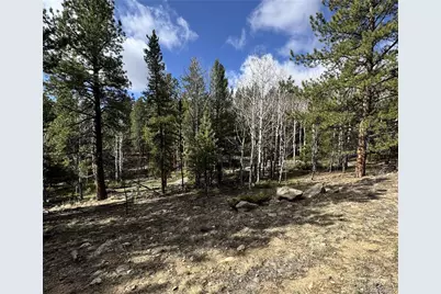 30317 Aspen Turn, Buena Vista, CO 81211 - Photo 7