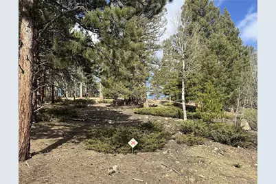 30317 Aspen Turn, Buena Vista, CO 81211 - Photo 13