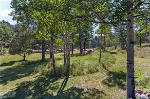 28894 Corkwood Ln, Evergreen, CO 80439 - Photo 41