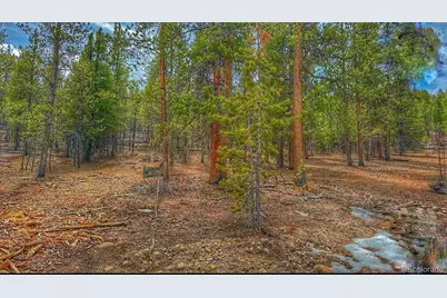 66 Mount Massive Road, Twin Lakes, CO 81251 - Photo 3