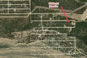 66 Mount Massive Rd, Twin Lakes, CO 81251 - Photo 1