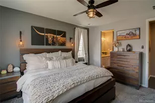 1868 Makley Loop, Castle Rock, CO 80104 - Photo 17