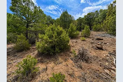 Tbd - Lot 36 Corral N, Texas Creek, CO 81223 - Photo 13