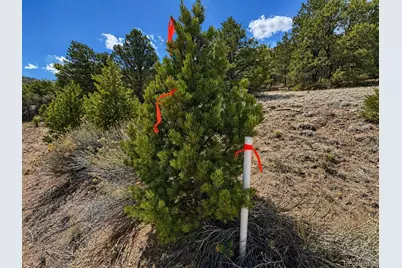 Tbd - Lot 36 Corral N, Texas Creek, CO 81223 - Photo 11