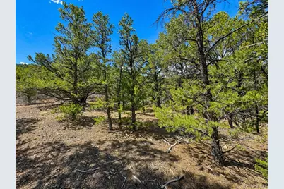 Tbd - Lot 36 Corral N, Texas Creek, CO 81223 - Photo 9