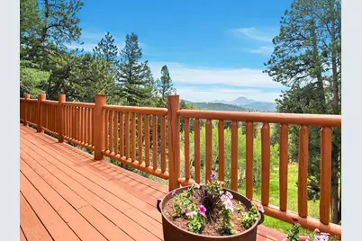 1407 Delwood Drive, Bailey, CO 80421 - Photo 33