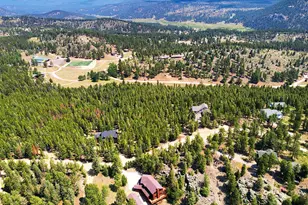 1407 Delwood Dr, Bailey, CO 80421 - Photo 41