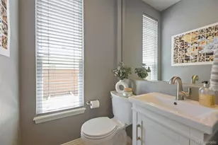9102 White Pelican Way, Littleton, CO 80126 - Photo 19
