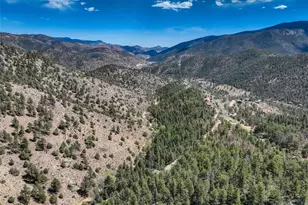 940 South Spring Gulch Road, Idaho Springs, CO 80452 - Photo 5