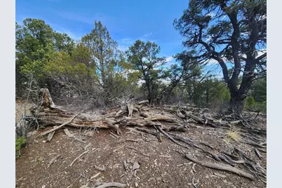 Tr-47 35th Trail, Cotopaxi, CO 81223 - Photo 1