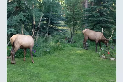 25257 Snyder Avenue, Conifer, CO 80433 - Photo 31