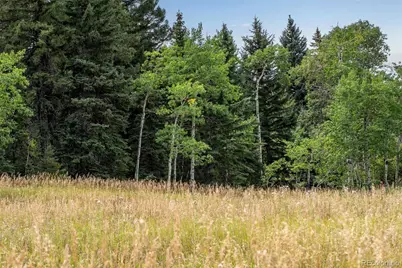 25257 Snyder Avenue, Conifer, CO 80433 - Photo 27