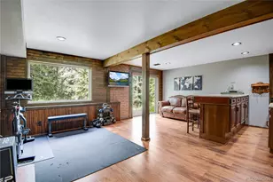 25257 Snyder Ave, Conifer, CO 80433 - Photo 21