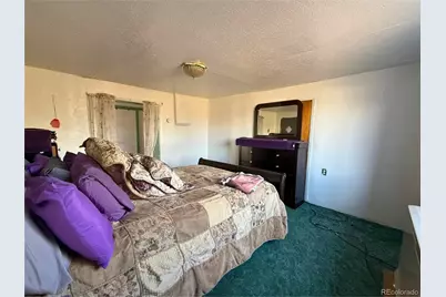 709 Beaubien Avenue, Fort Garland, CO 81133 - Photo 11