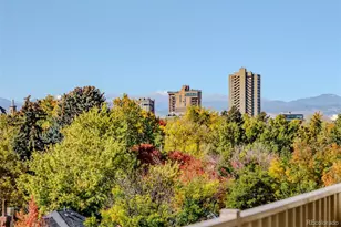 1313 Steele St, Denver, CO 80206 - Photo 21