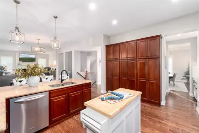 10286 Greentrail Circle, Lone Tree, CO 80124 - Photo 13