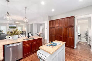 10286 Greentrail Cir, Lone Tree, CO 80124 - Photo 13