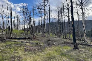Lot 2248 Buonaventura Ln, Fort Garland, CO 81133 - Photo 1