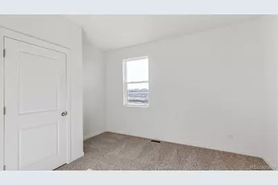 394 N Allium Street, Watkins, CO 80137 - Photo 9
