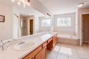 226 Chelsea St, Castle Rock, CO 80104 - Photo 19