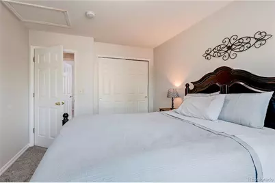 226 Chelsea Street, Castle Rock, CO 80104 - Photo 17