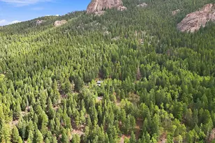 3742 Witter Gulch Rd, Evergreen, CO 80439 - Photo 33